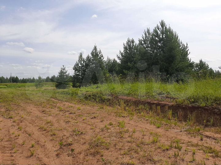 Участок 51 сот. (ИЖС)