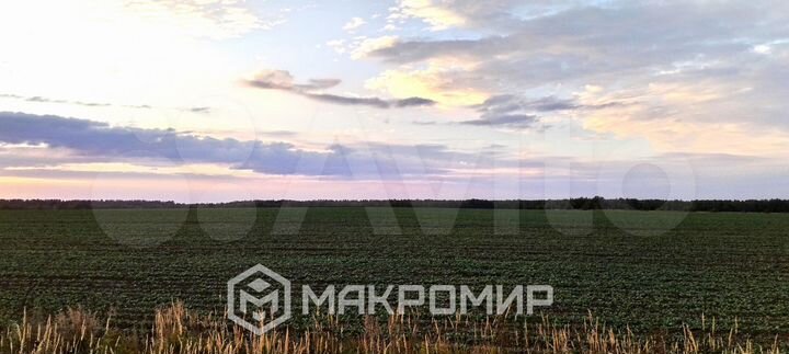 Участок 39 га (ИЖС)