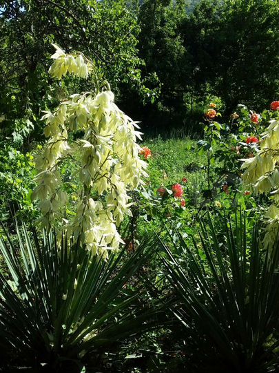 Дом 140 м² на участке 25 сот.