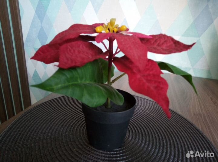 Цветок искуствееный икея