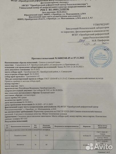 Реализую семена суданской травы