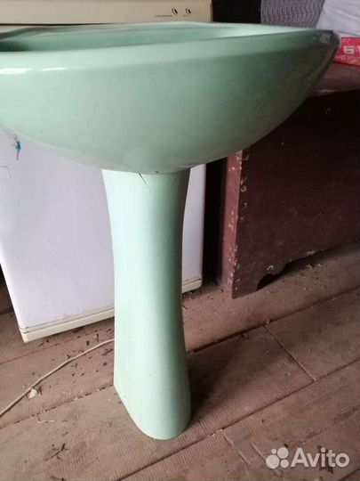 Раковина тюльпан