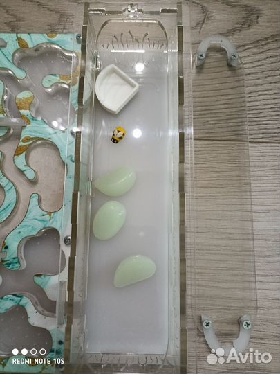 Ферма для муравьев