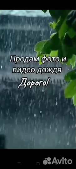 Июльский дождь