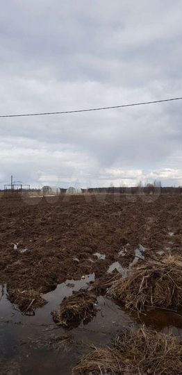 Участок 15 сот. (ИЖС)