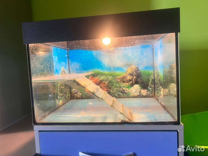 Аквариум для морской черепахи и терариум-переноска