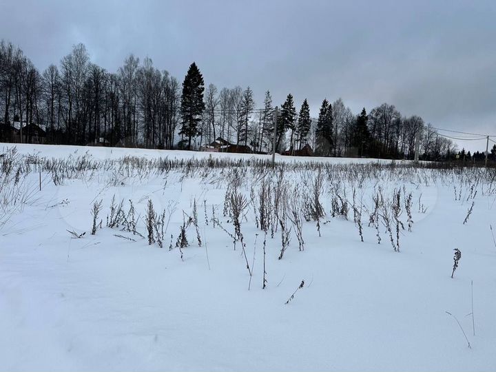 Участок 8 сот. (ИЖС)