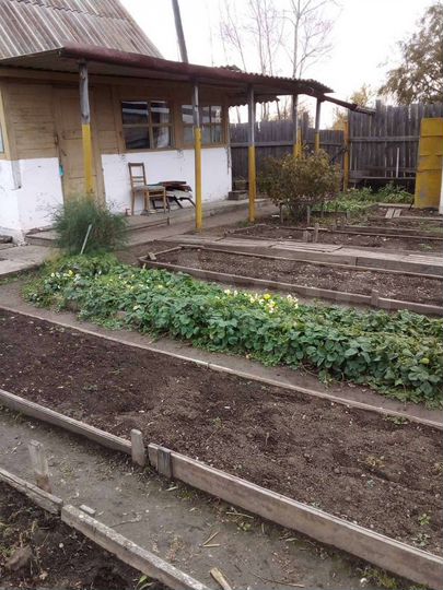 Дача 20 м² на участке 12 сот.