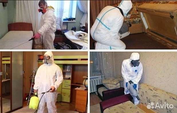 Уничтожение насекомых