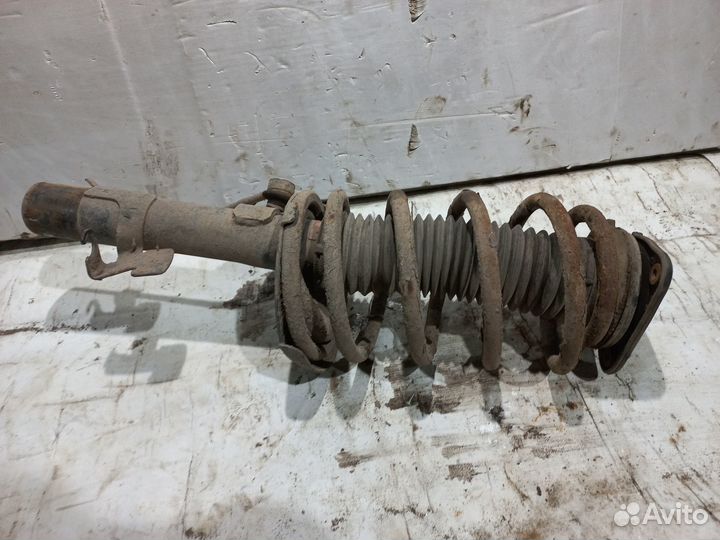 Передняя левая стойка Ford Focus 2