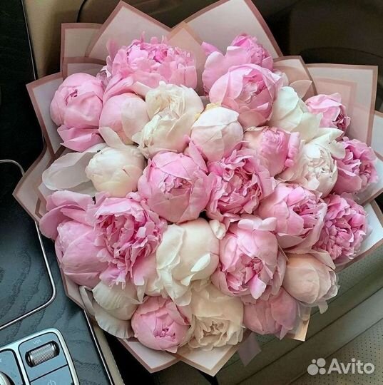 Пионы Цветы Доставка