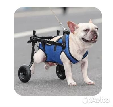 Инвалидная коляска для собак мелких пород