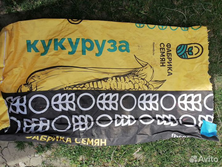 Семена кукурузы, подсолнуха оптом