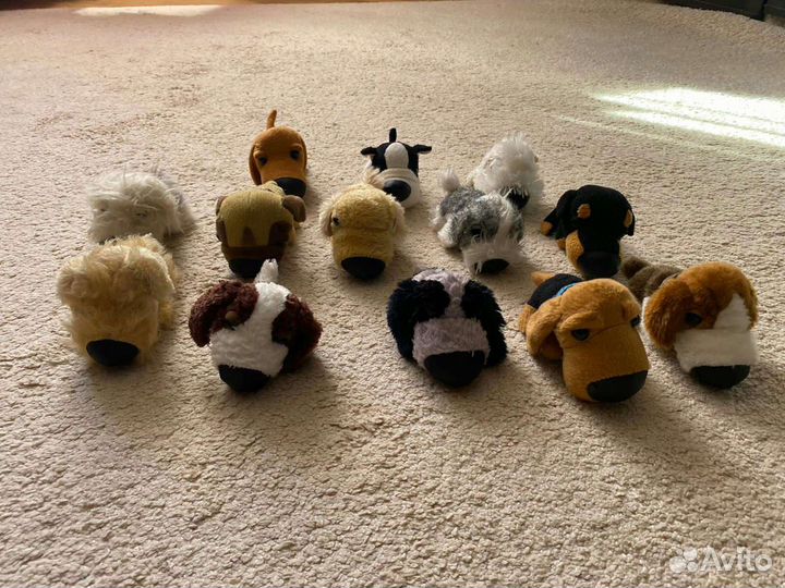 The dog collection