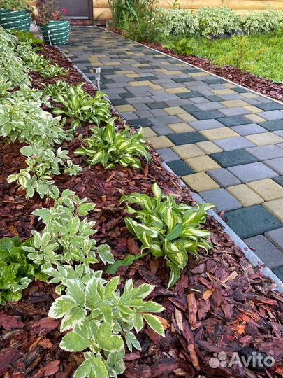 Кора сибирской лиственницы