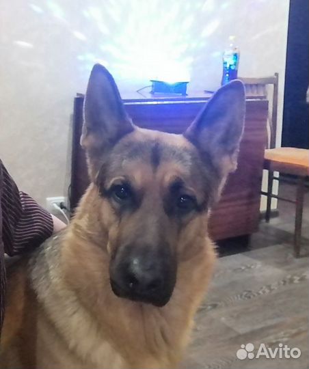 Кабель вязка