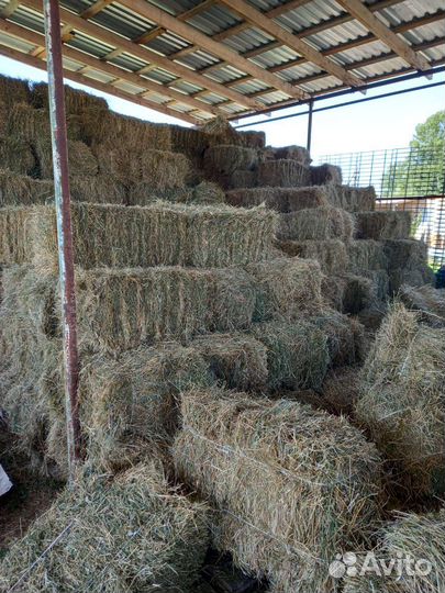 Сено Солома