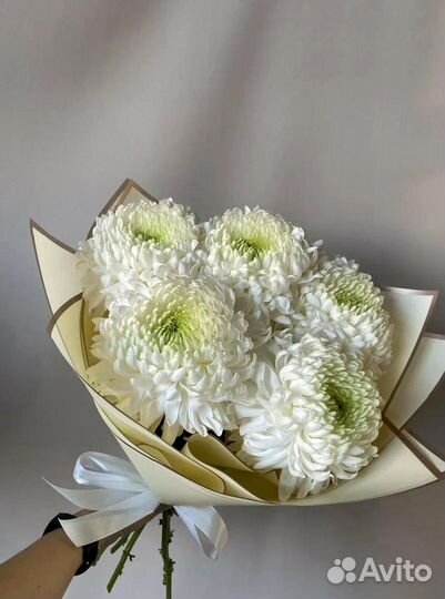 Букет Белых Хризантем Одноголовых