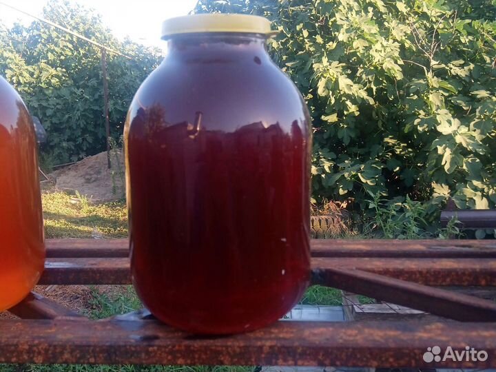 Свежий мед 2023года