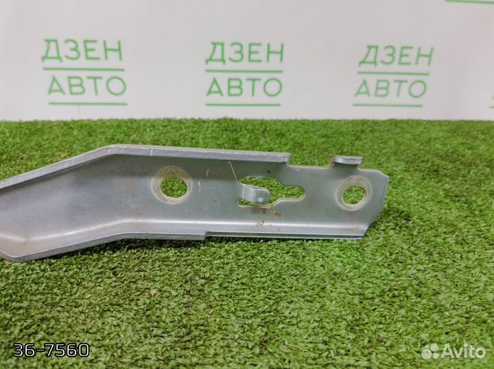 Петля капота Audi A6 C6