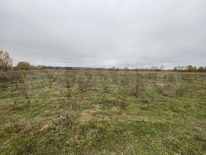 Участок 10 га (СНТ, ДНП)