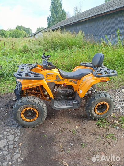 Квадроцикл motoland ATV 200 wild track