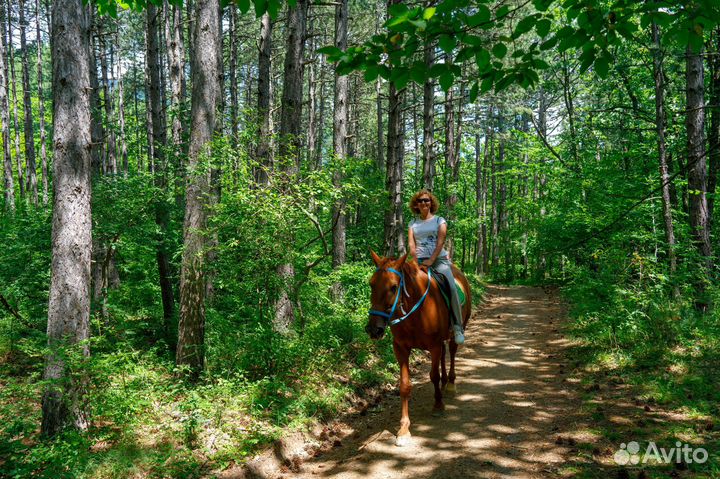 Конные прогулки. Экскурсии на лошадях
