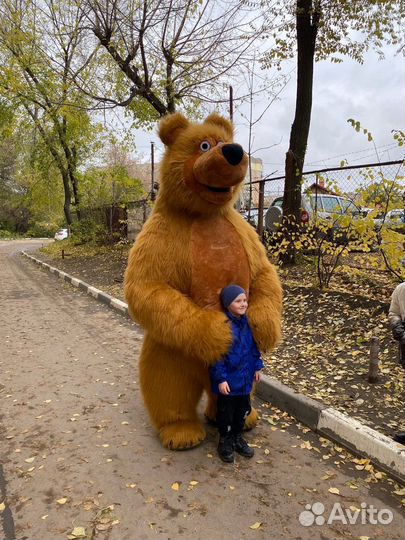 Медведь на праздник/ поздравление белого медведя