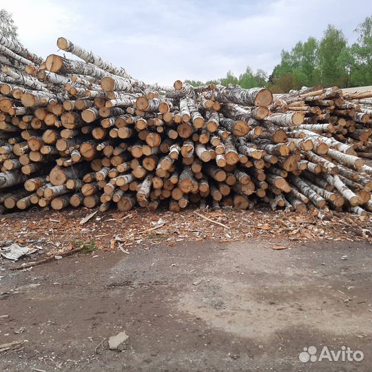 Дрова дуб