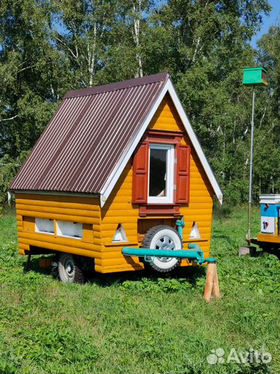 Исцеляющий Апидомик