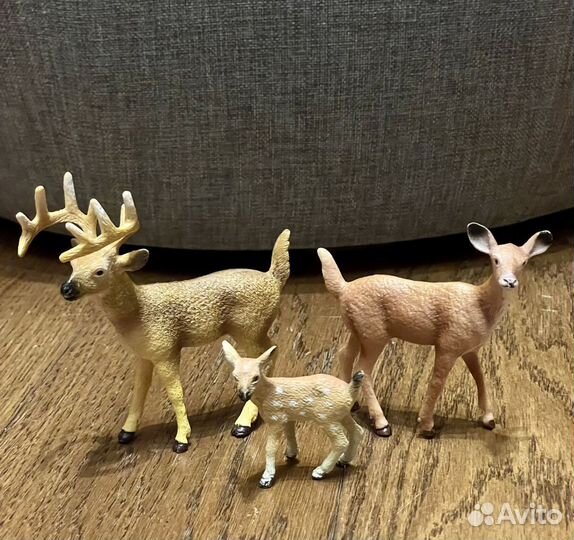 Животные и собаки