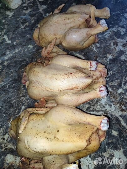 Мясо домашнего бройлера