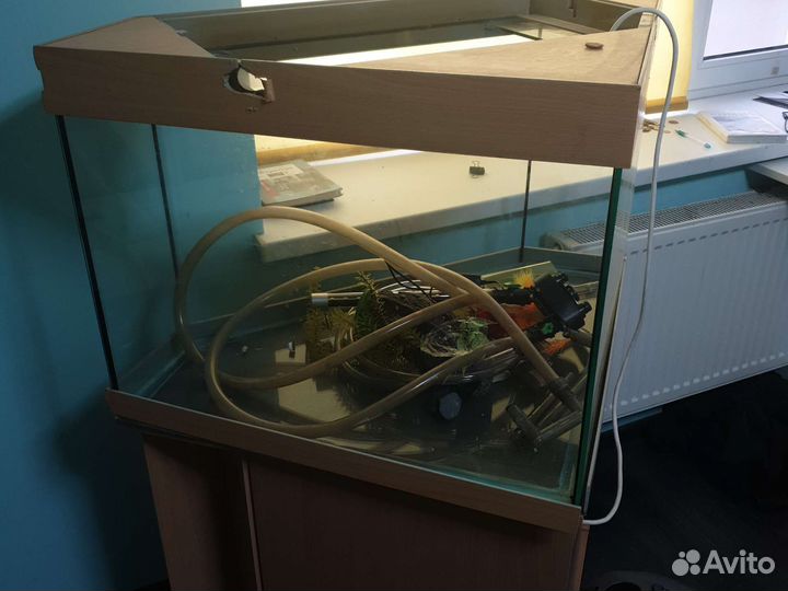 Аквариум