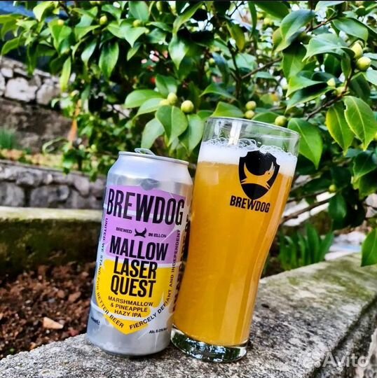 Brewdog пивные бокалы