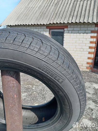 Pirelli Cinturato P6000 195/65 R15