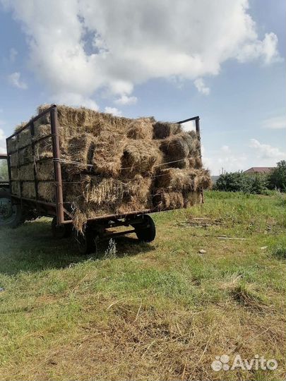 Сено в тюках и рулонах