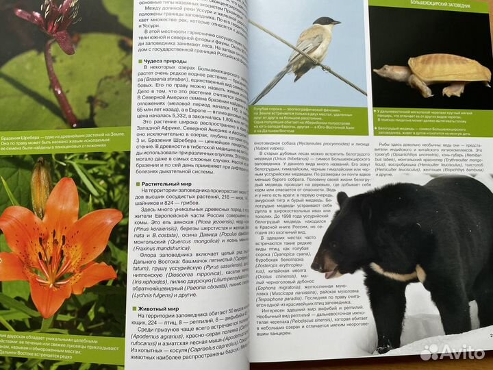 Новая Самые красивые заповедники россии