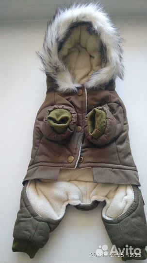 Одежда для собак