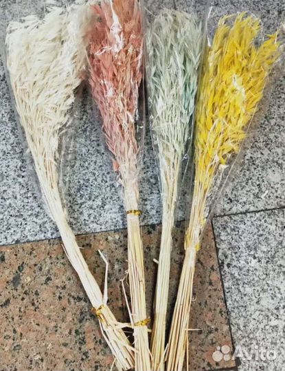 Пшеница овес сухоцвет декор букет цветы