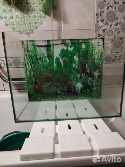 Аквариум