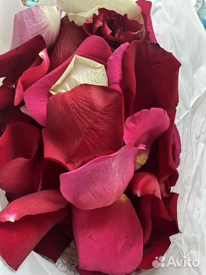 Лепестки роз свежие микс 13 литров