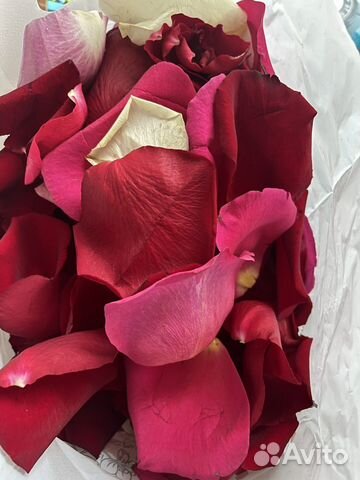Лепестки роз свежие микс 13 литров