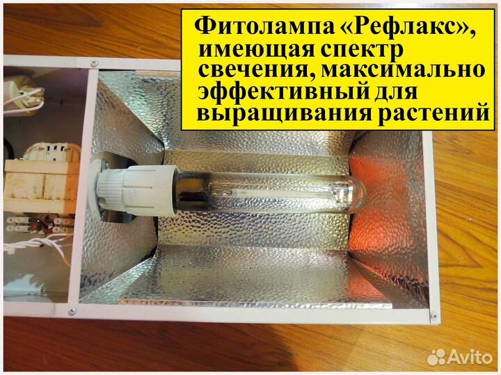 Светильник Днат Tridonic (Австрия) 400 ватт