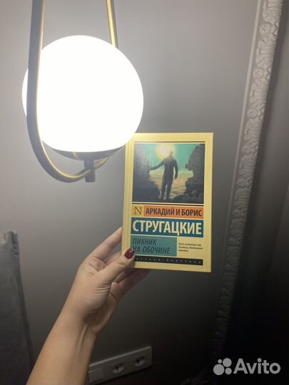 Пикник на обочине