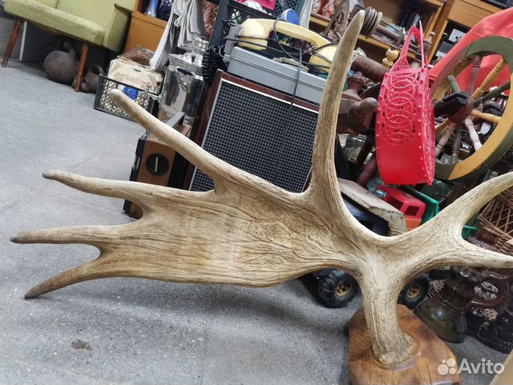 Рога лося в интерьер винтаж СССР