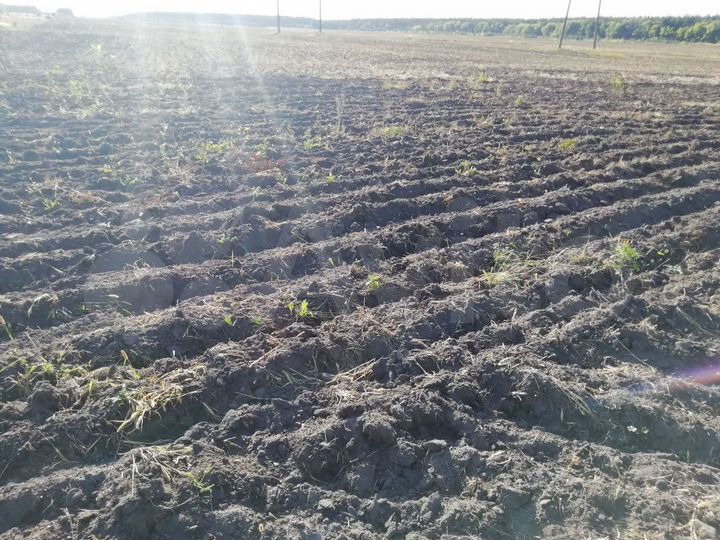 Участок 137 га (СНТ, ДНП)