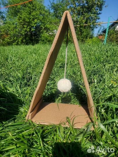 Когтеточка