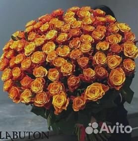 Букет 101 Роза доставка