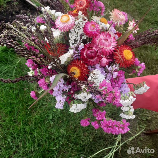 Букет цветов из сухоцветов