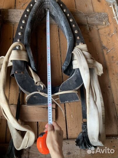 Хомут 2,5 со шлеёй